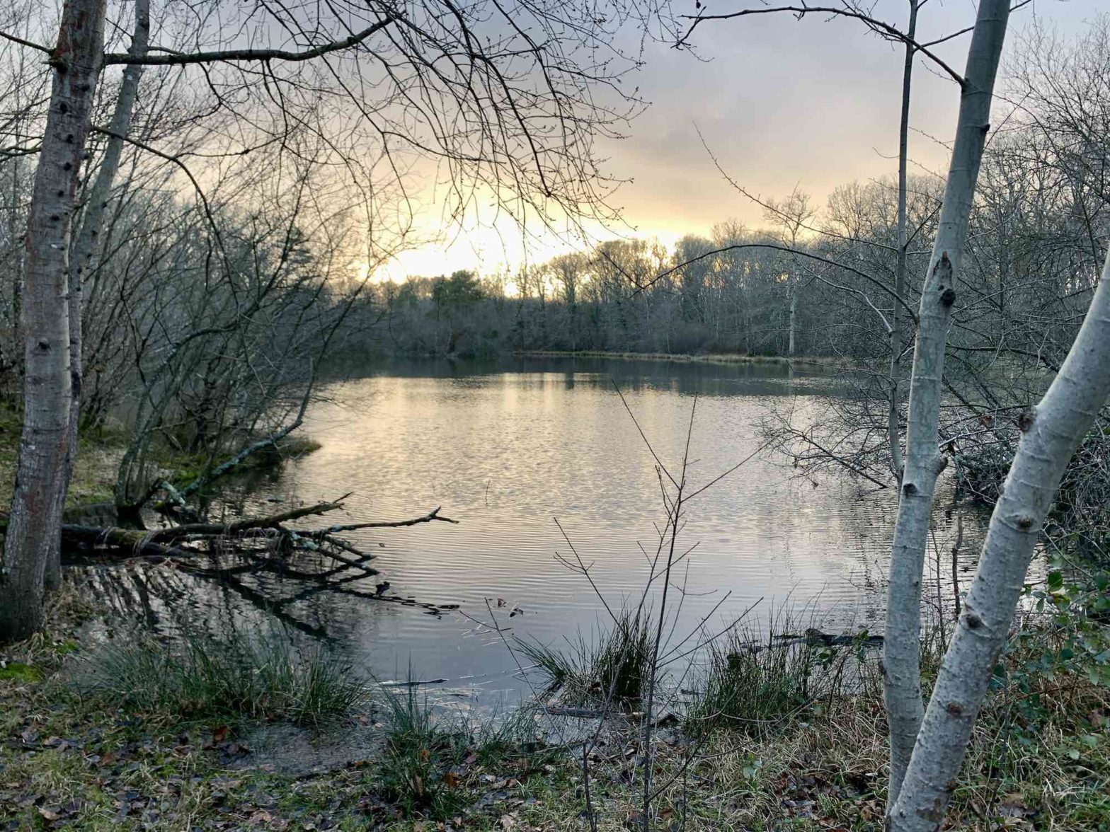 Une photo d'un lac d'hiver dans la forêt de Châteauroux, avec le soleil éclatant d'une fin d'après midi qui baigne la scène d'une lumière blanche, bleue et jaune.